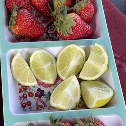 Turismo Todo Tongoy Vertical (10)